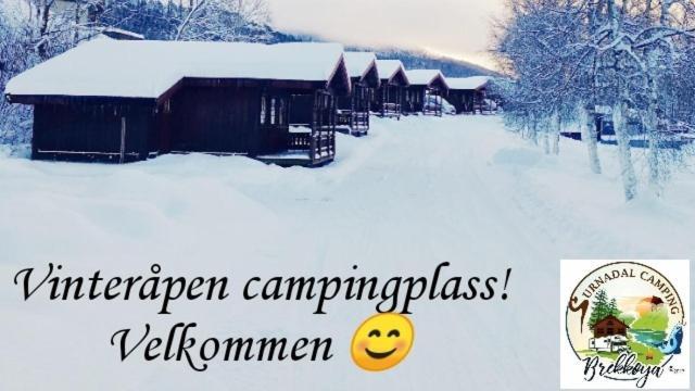 Surnadal Camping Brekkoya Skei  Dış mekan fotoğraf